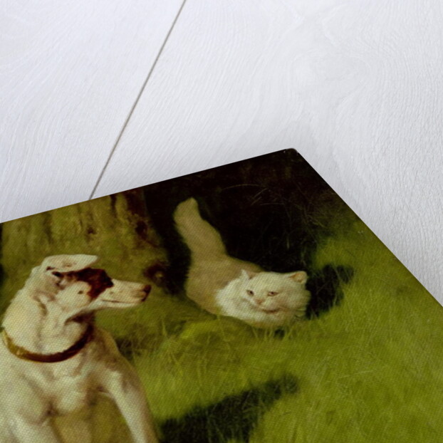 White Persian Cat and Jack Russell by Arthur Heyer