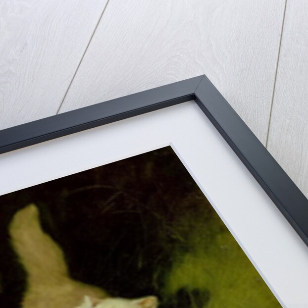 White Persian Cat and Jack Russell by Arthur Heyer