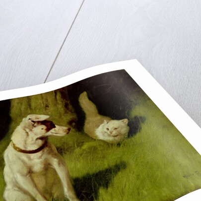 White Persian Cat and Jack Russell by Arthur Heyer
