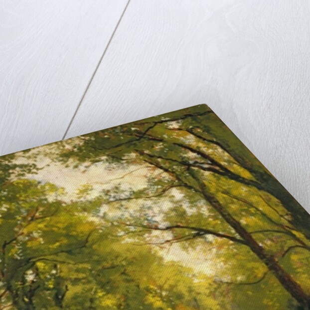 Backs of the Colleges, Cambridge by Cyrus Johnson