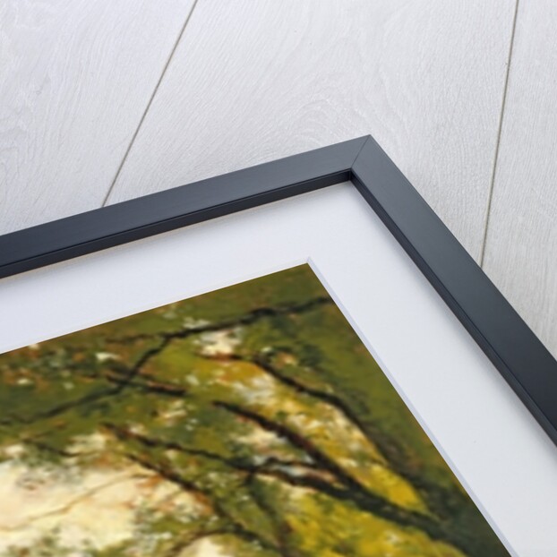 Backs of the Colleges, Cambridge by Cyrus Johnson