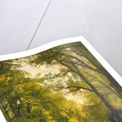 Backs of the Colleges, Cambridge by Cyrus Johnson