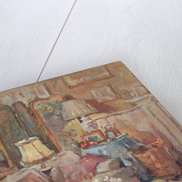 The Embroidered Screen by Susan Ryder