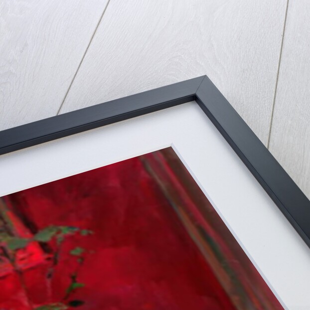 Red Lamp by Susan Ryder