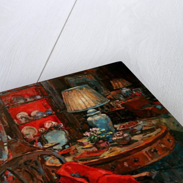 My Red Coat by Susan Ryder