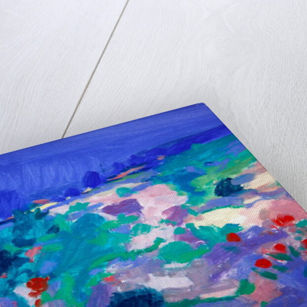 Algarve Landscape by John Miller