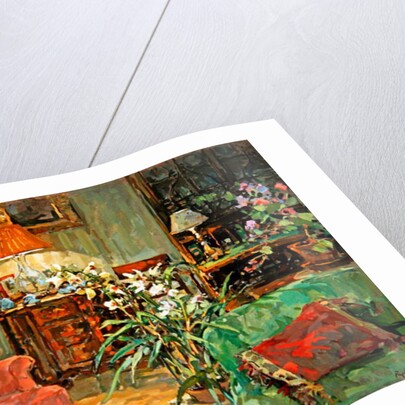 Orchid by Lamplight by Susan Ryder