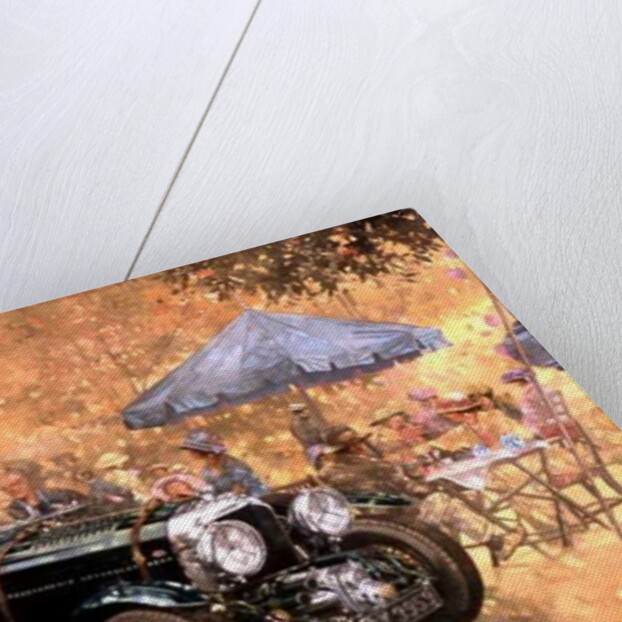 Garden Party with the Bentley by Peter Miller