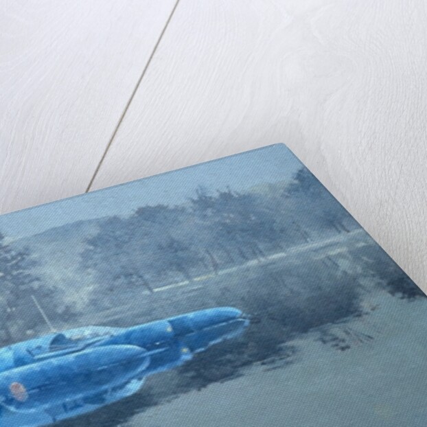 Donald Campbell and Bluebird by Peter Miller