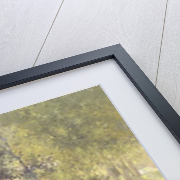 Botanic Gardens, Southport, 1991 by Peter Miller