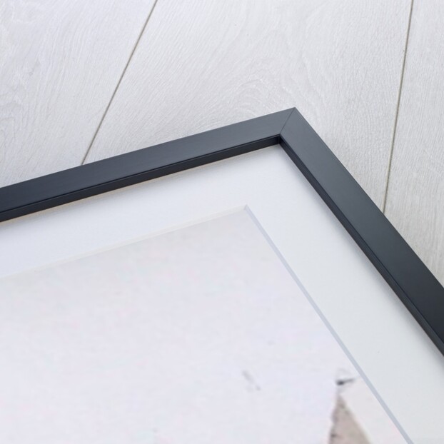 Djenne Maison Tawate, 2000 by Charlie Millar