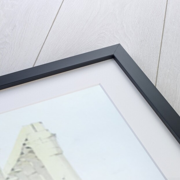 Luxor Temple by Charlie Millar