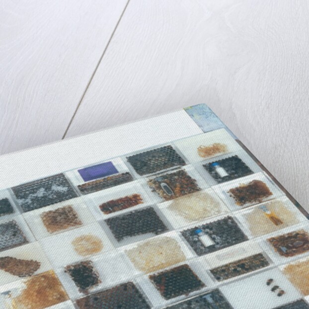 Bee resin casts by Charlie Millar