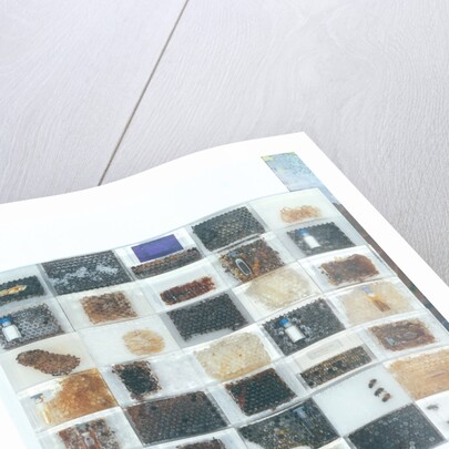 Bee resin casts by Charlie Millar