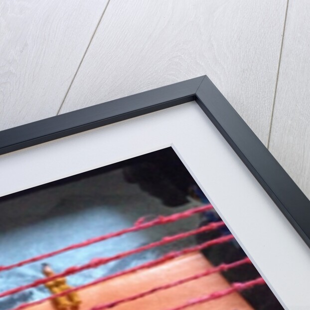 Project for the Anonymous Audience, 2014 by Charlie Millar