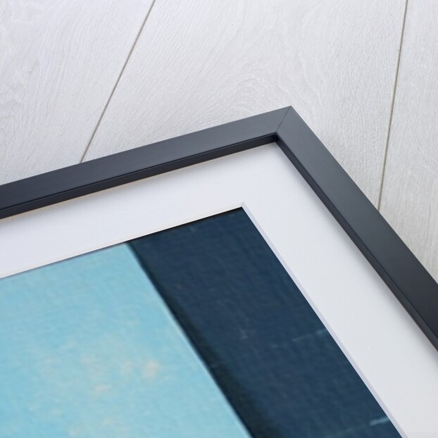 The Tomato by Charlie Millar