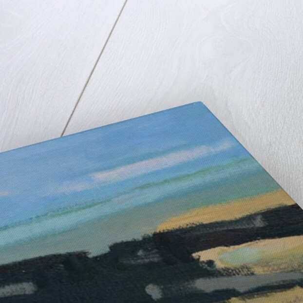 Mull, 2017 by Michael G. Clark