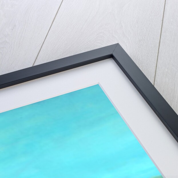 Still Life with Watermelon by Marisa Leon