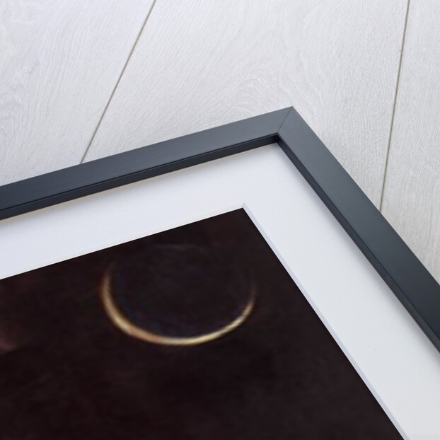 Menina and Eclipse by Marisa Leon