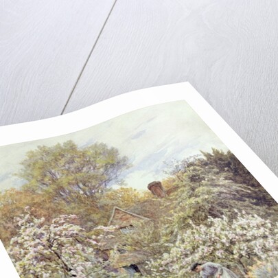 A Garden in Spring by Helen Allingham