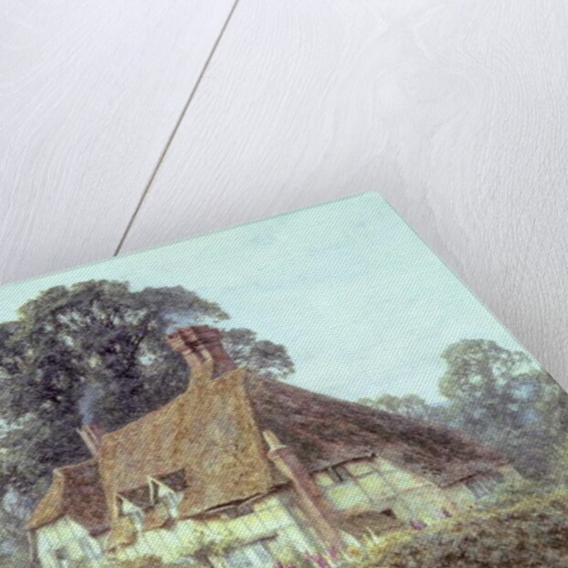 Near Witley, Surrey by Helen Allingham