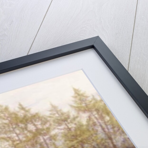 A Cottage near Haslemere by Helen Allingham