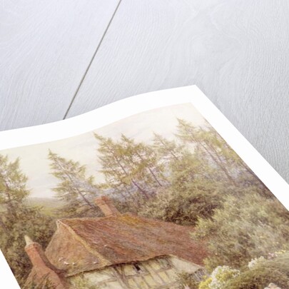 A Cottage near Haslemere by Helen Allingham