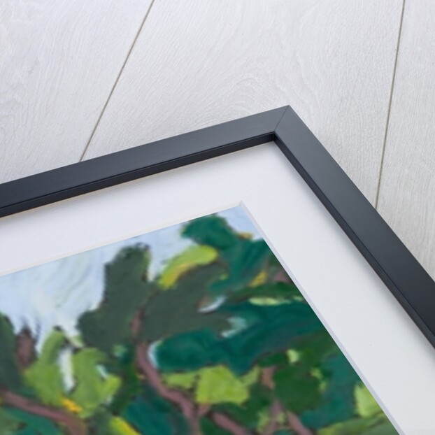 Neighbour's Roses, 2008 by Marta Martonfi-Benke