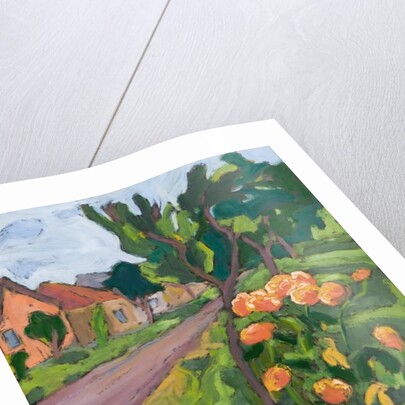 Neighbour's Roses, 2008 by Marta Martonfi-Benke