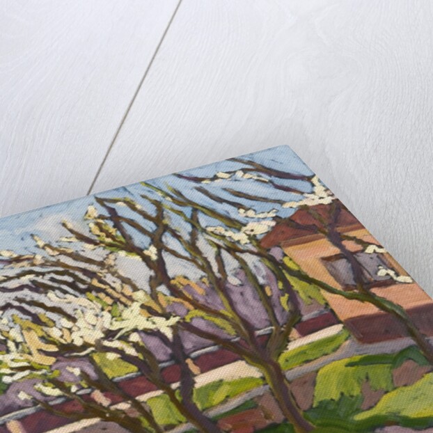 In Spring Light, 2008 by Marta Martonfi-Benke