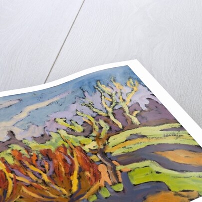 Dancing Willows, 2007 by Marta Martonfi-Benke