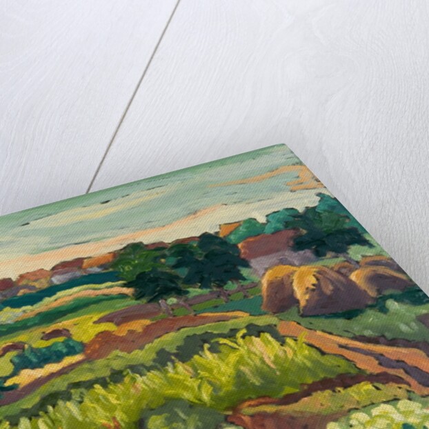 Suburban Gardens, 2005 by Marta Martonfi-Benke