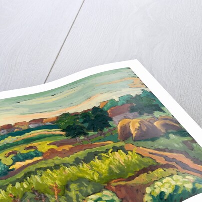 Suburban Gardens, 2005 by Marta Martonfi-Benke