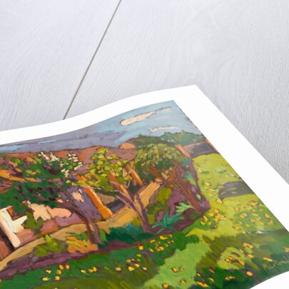 Garden in May, 2012 by Marta Martonfi-Benke