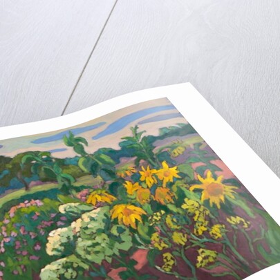 Brookside Pomp, 2011 by Marta Martonfi-Benke