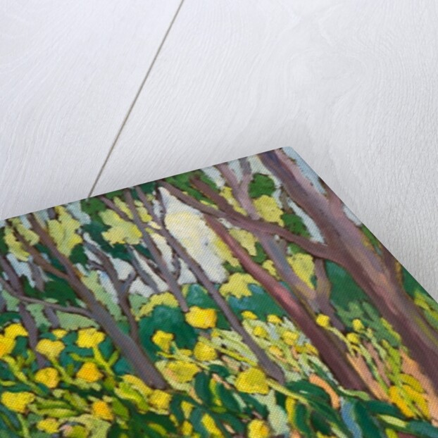 Ambassadors of Light,2011 by Marta Martonfi-Benke