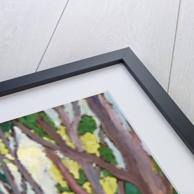 Ambassadors of Light,2011 by Marta Martonfi-Benke