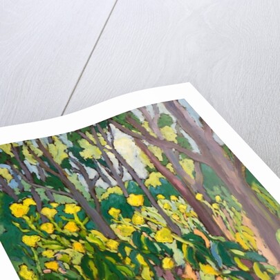 Ambassadors of Light,2011 by Marta Martonfi-Benke