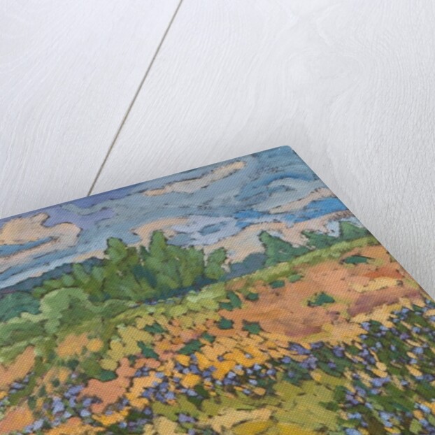 Wild Flowers on the Dyke Bank, 2012 by Marta Martonfi-Benke