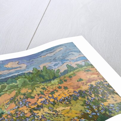 Wild Flowers on the Dyke Bank, 2012 by Marta Martonfi-Benke