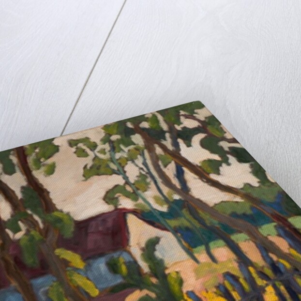 Ramshackle Fence, 2011 by Marta Martonfi-Benke