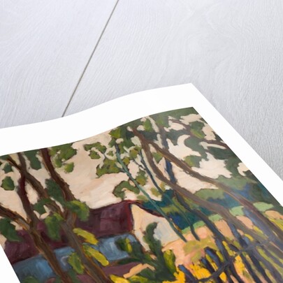 Ramshackle Fence, 2011 by Marta Martonfi-Benke