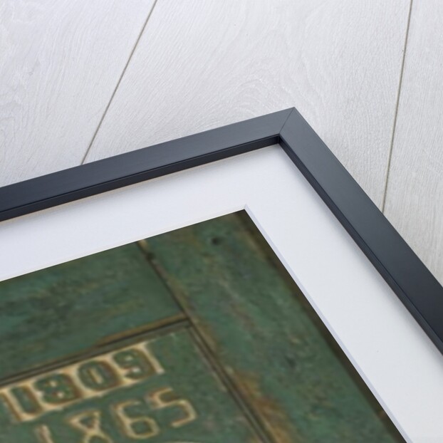 Reminiscences of 1865 by John Frederick Peto