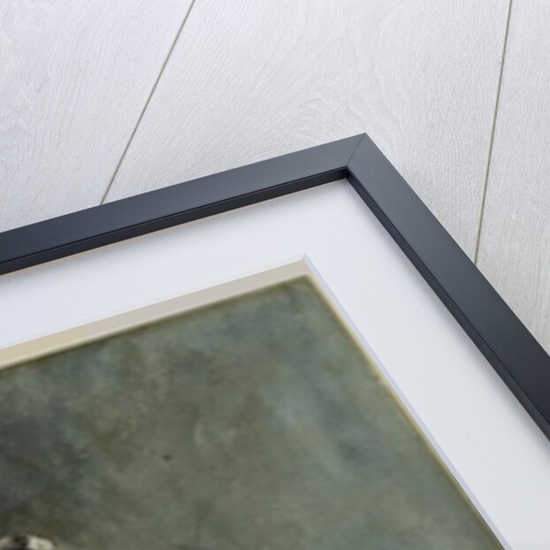 A Young Woman in a Blue Dress, 1866 by Mariano José María Bernardo (1838-74) Fortuny y Carbó