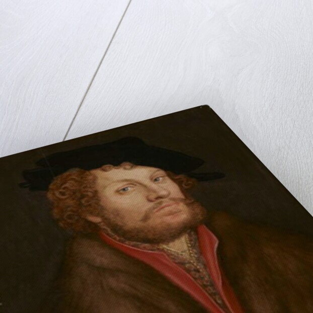 Portrait of Moritz Buchner, c.1520 by Lucas the Elder Cranach