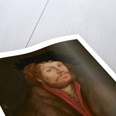 Portrait of Moritz Buchner, c.1520 by Lucas the Elder Cranach