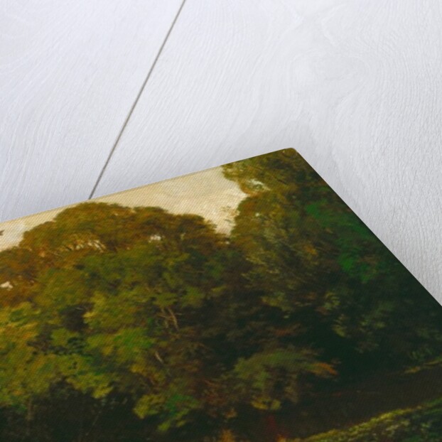 A Pond in the Morvan, 1869 by Charles Francois Daubigny