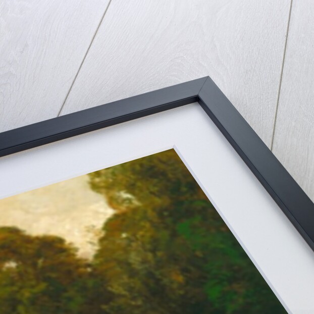 A Pond in the Morvan, 1869 by Charles Francois Daubigny