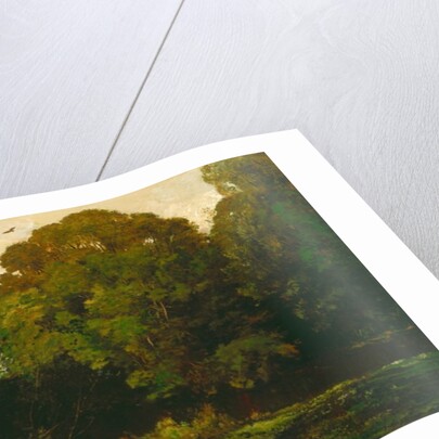 A Pond in the Morvan, 1869 by Charles Francois Daubigny