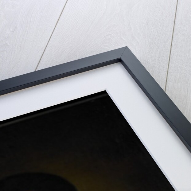 Portrait of Marcy Olney, c.1771 by Jeremiah Theus